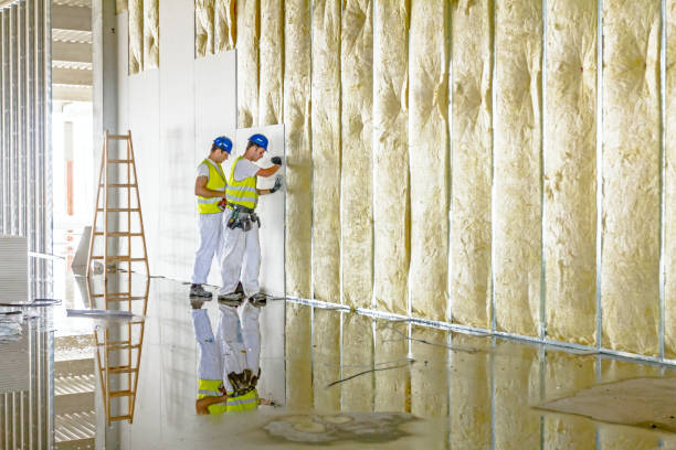 Best Commercial Insulation in Ashtabula, OH